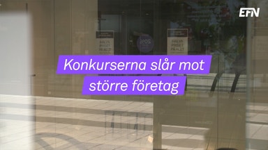 Så många drabbas av konkurs