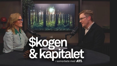 Stormar, virkespriser och debatter – så var våren i skogen 2026
