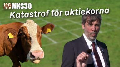 Aktierna som sänker korna