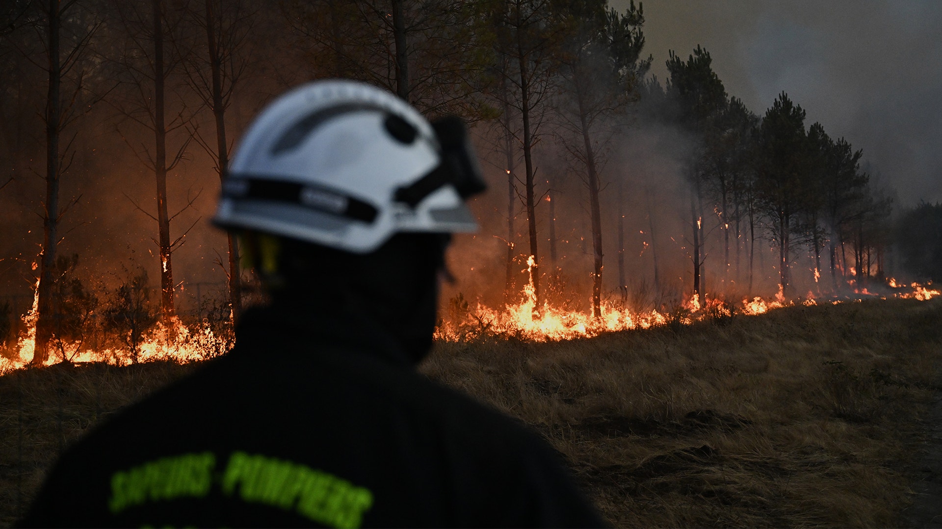 En brandman i skyddsutrustning och hjälm står framför en omfattande skogsbrand med höga flammor som sprider sig genom träden.