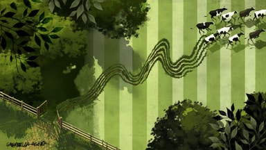 Därför är börsen urstark – trots alla mörka moln