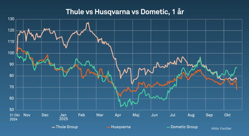 Svenska konsumentbolag i USA