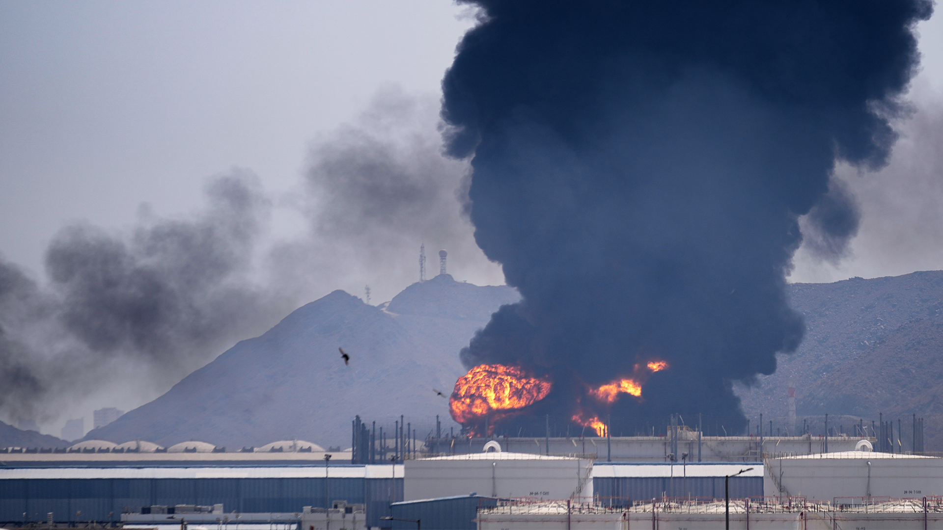 Förenade Arabemiraten öppnar för att gå in i kriget