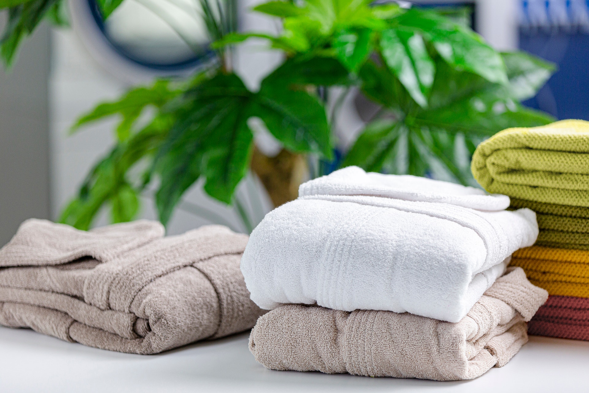 Staplade handdukar i olika färger på en vit yta med gröna växter i bakgrunden.