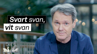 Vatten på liv och död