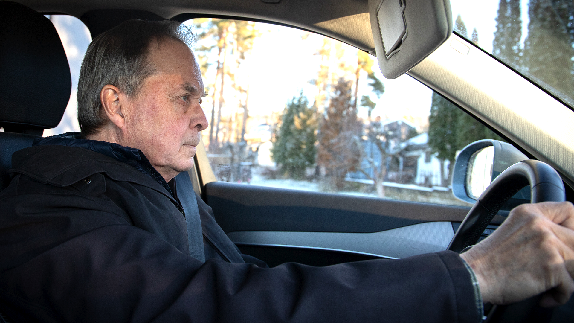 Karl Hedin skogen skog