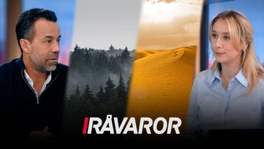 Sällsynt sand och hopp om guld i skogsindustrin