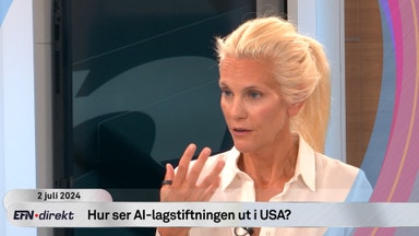 Det här innebär världens första AI-lagstiftning