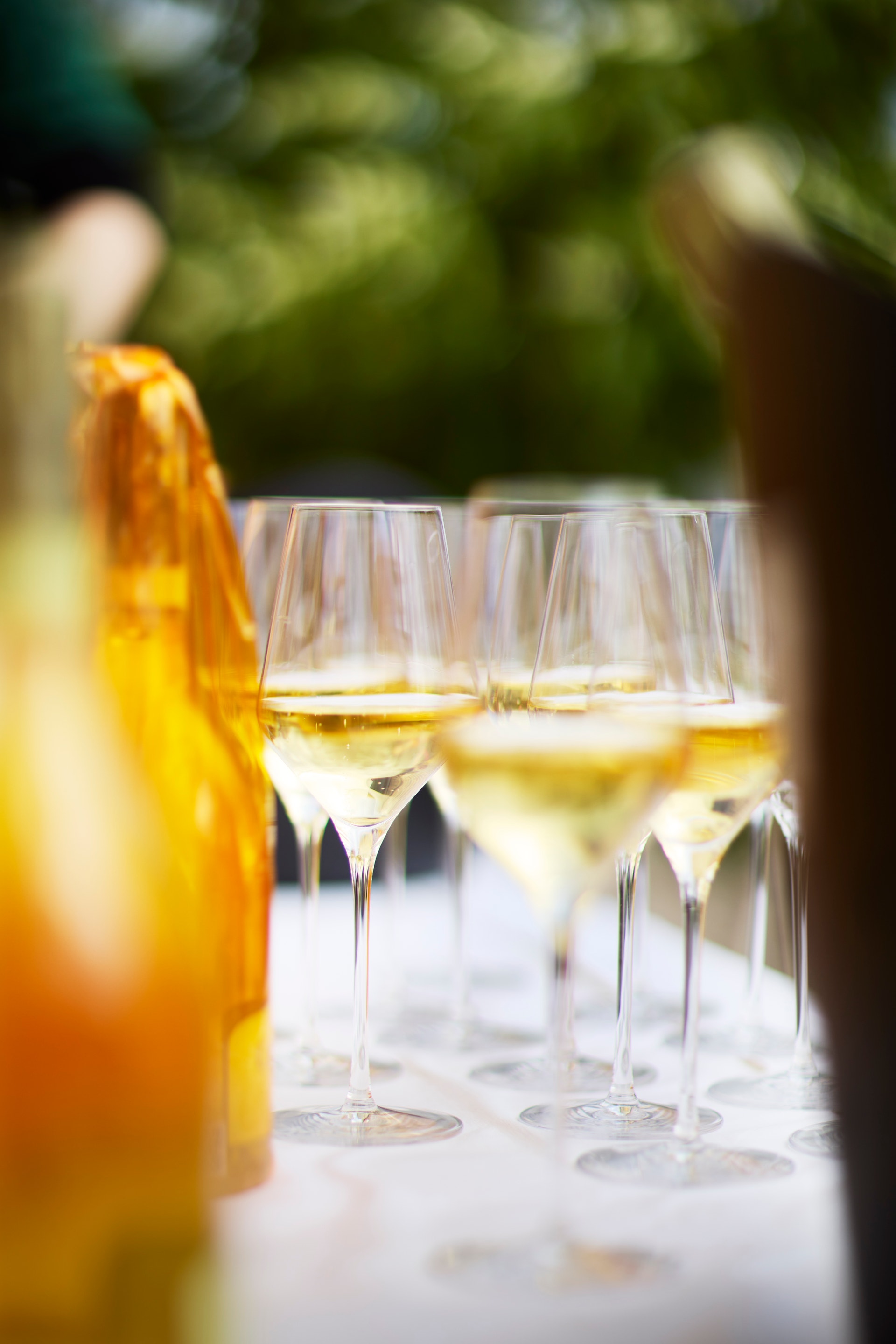 Två glas med vitt vin och en gul flaska på ett bord utomhus med grön vegetation i bakgrunden.