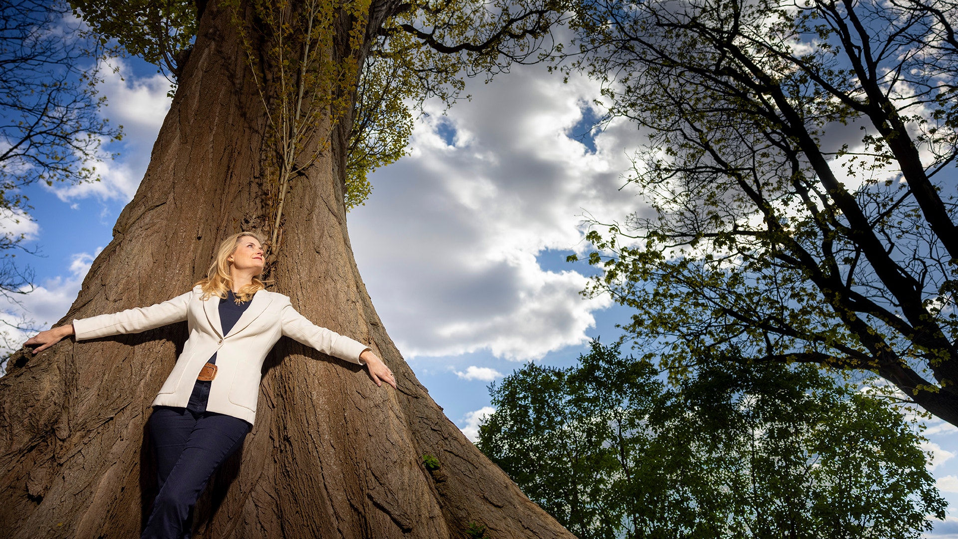 Denise Persson Snowflake