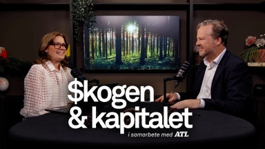 Analytikern: Energikrisen kan gynna nordisk skog