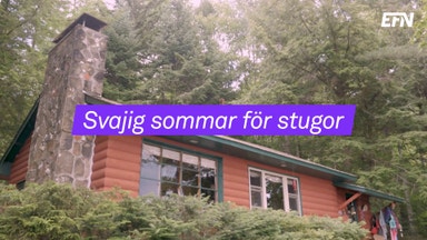 Liten stuga blir lite billigare