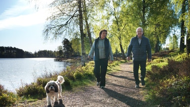 Miljardärerna vägrar sälja – här är Nibes nya arvtagare