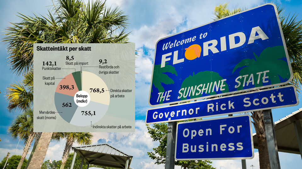 Skattesystemet varierar kraftigt mellan USA:s delstater, i Texas och Florida finns ingen delstatlig inkomstskatt.