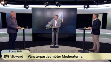 Kandidaterna: Vad får vi egentligen för EU-pengarna?