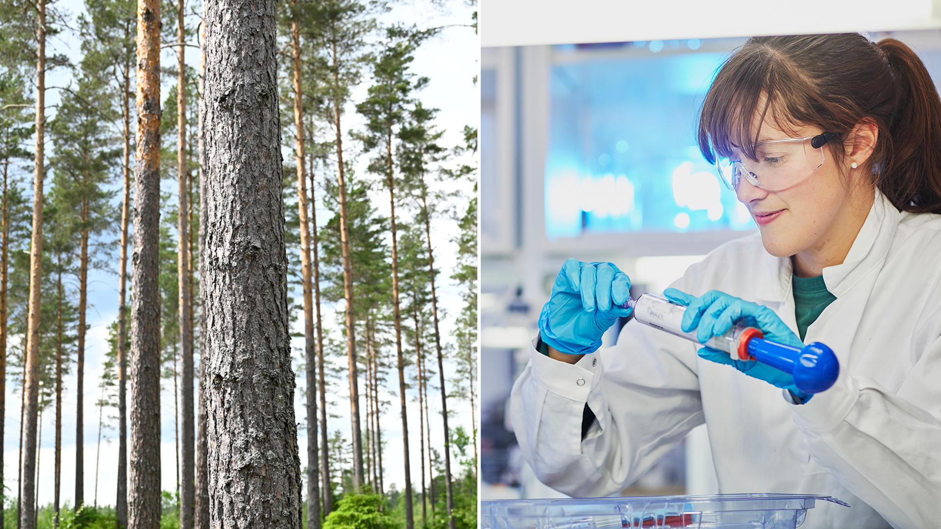 Här tar blankarna position – småspararfavoriter i sikte 