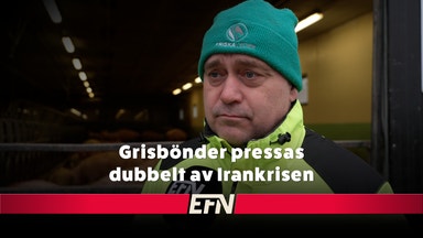 Sveriges grisproducenter: Höjda köttpriser när energikostnader skenar