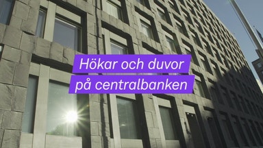 Det innebär hökar och duvor