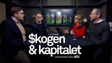 Svenska skogsägare är vinnarna framåt