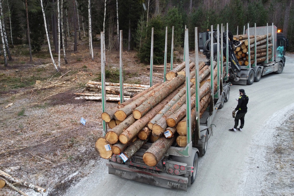 skogsindustrin