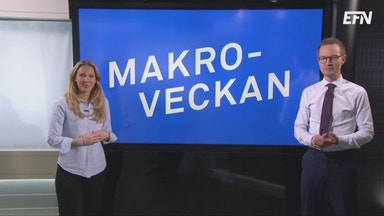 Detta talar för svensk minusränta