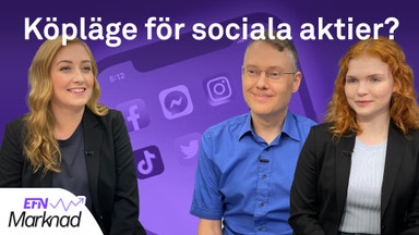 Experten och analytikern om sociala mediebolagens framtid