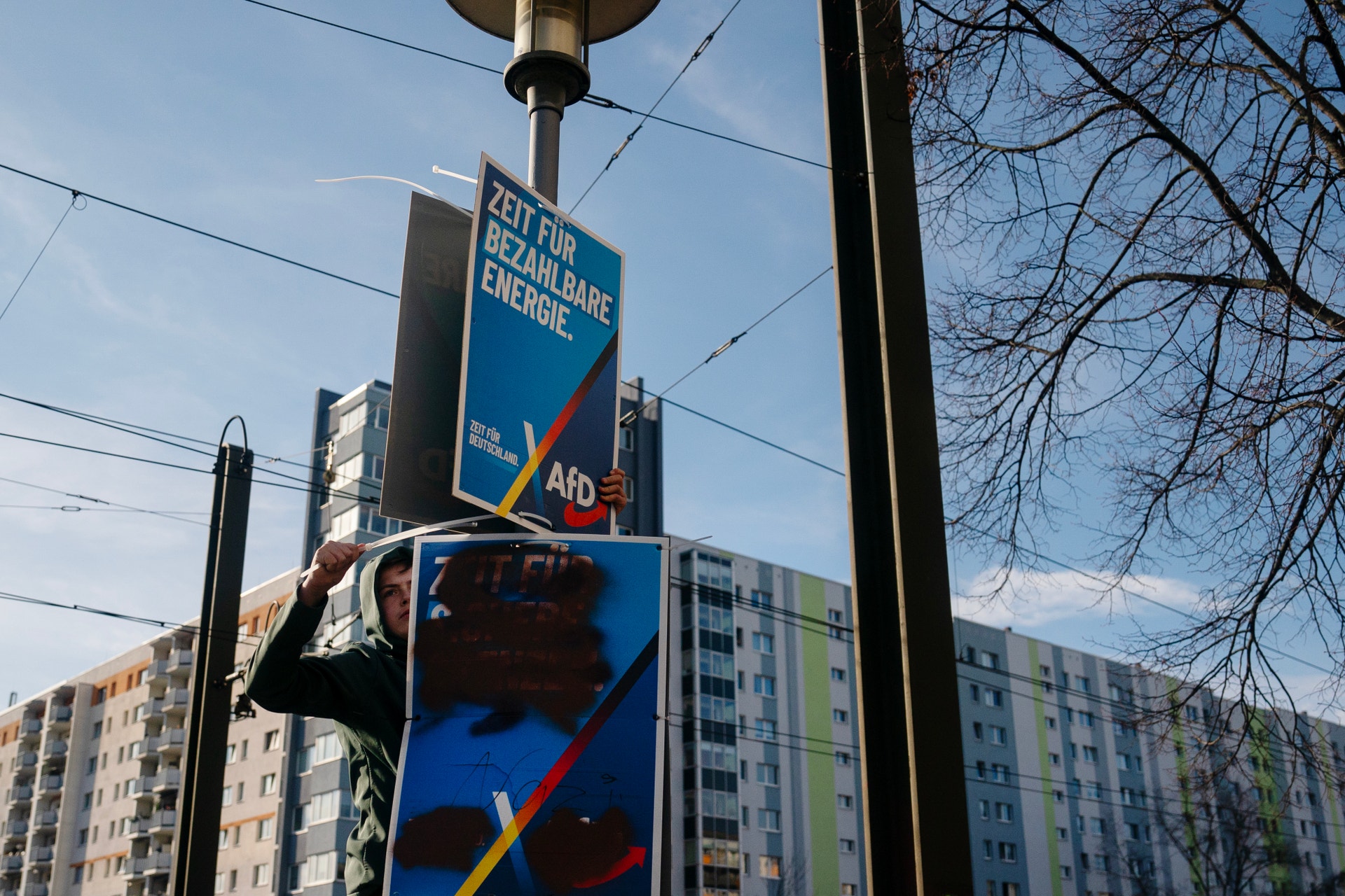 AfD berlin skyltar