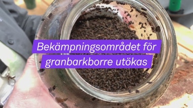 Kriget mot borrarna trappas upp