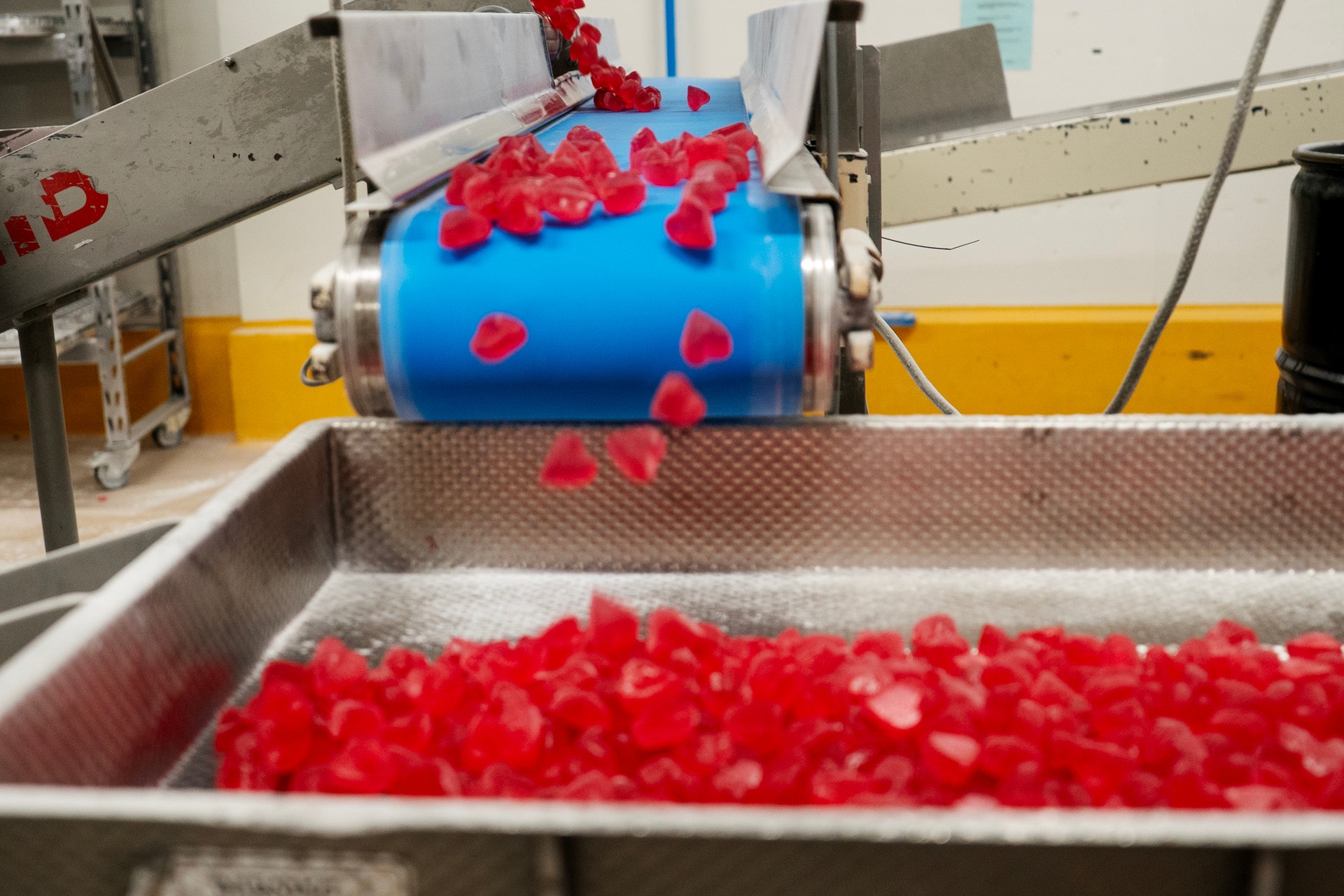 Industriell maskin som sorterar och transporterar röda frukter eller liknande produkter på en produktionslinje. En blå cylinder matar material in i en metallbehållare.