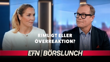 Nytt ras för Wallenbergs sorgebarn
