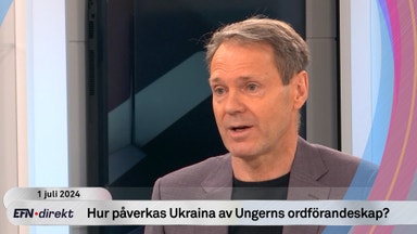 Niklas Ekdal om Ungerns ordförandeskap i EU