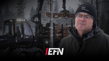 Tio års avverkning förlorat över en natt