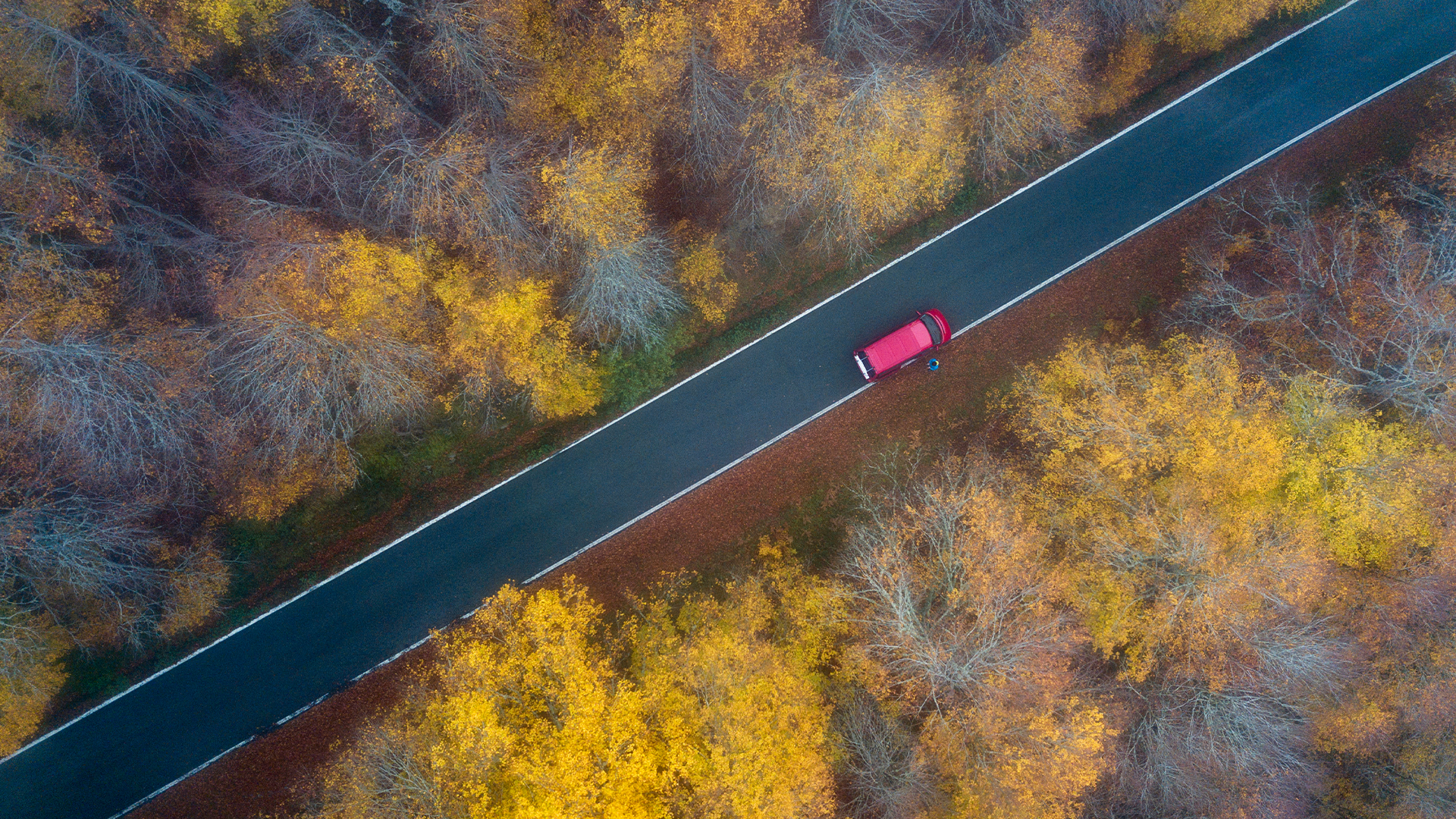 Ellinor Beckett: Så blir du en vinnare i fordonsdeppen