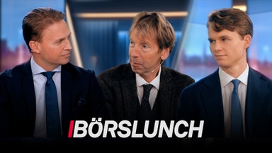 Köpläge i verkstad? Experterna synar jättarnas rapporter