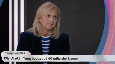 Chefekonomen: ”Bottenkänning för svensk ekonomi”