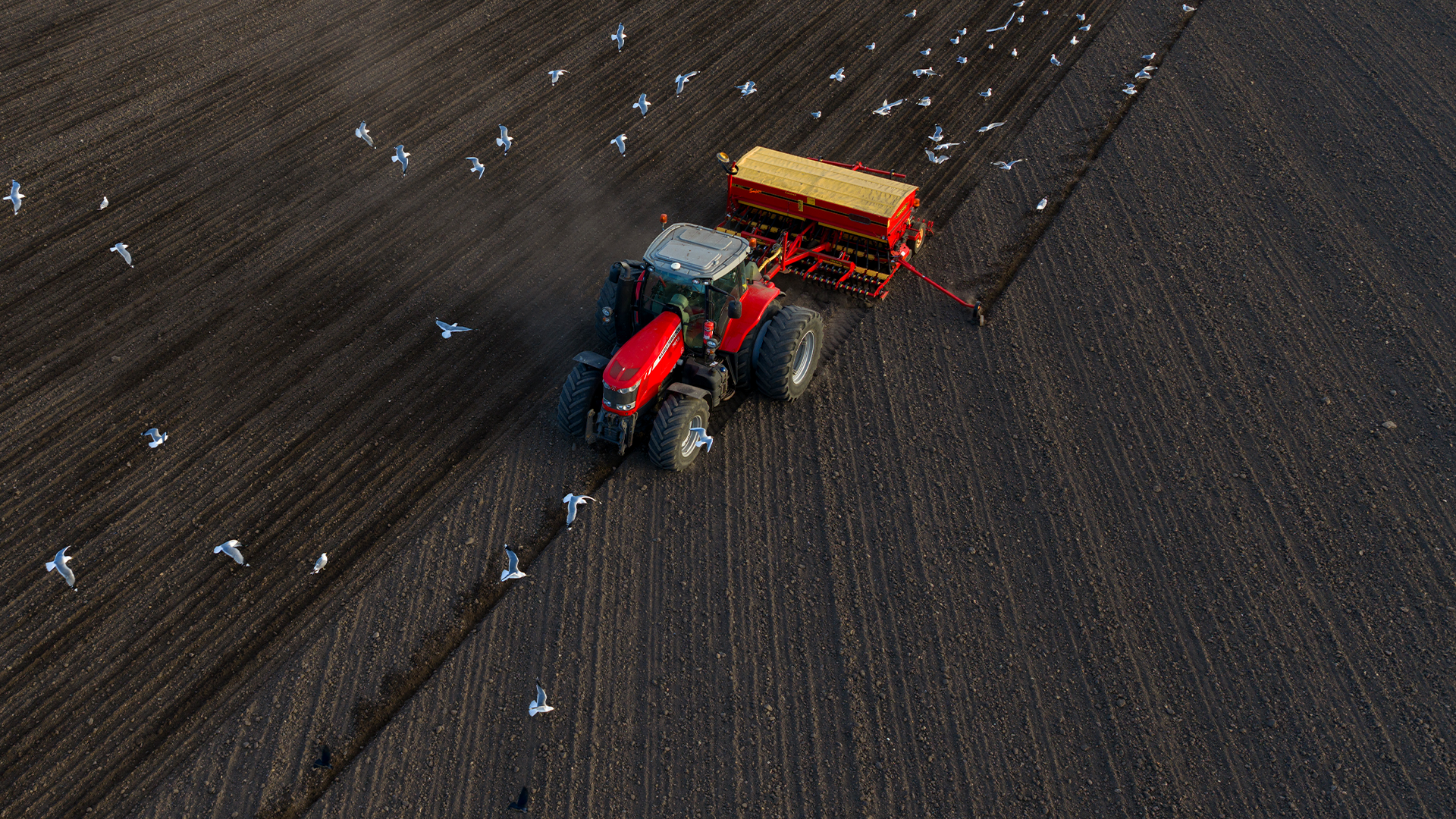 En storm av elände för Sveriges lantbrukare 