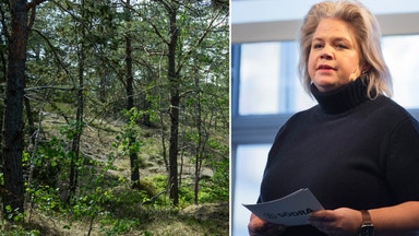 Södra miljardsäljer skogsinnehav i Baltikum