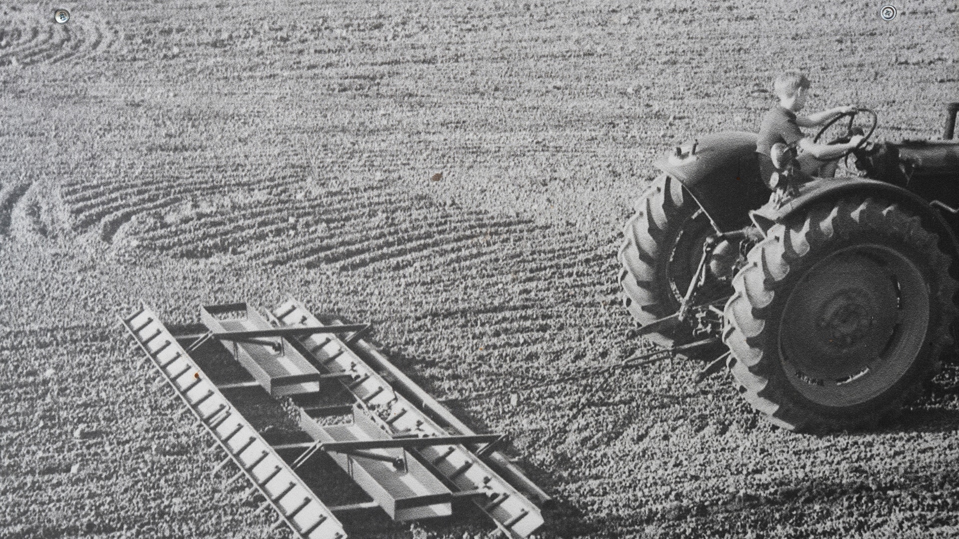 Svartvit arkivfoto av en traktor som drar en harv över ett plöjt fält.