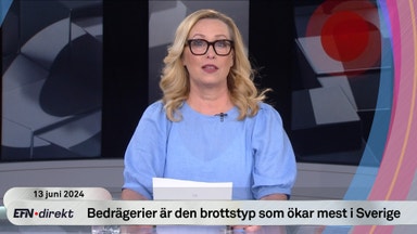 EFN Direkt 13 juni 11:30