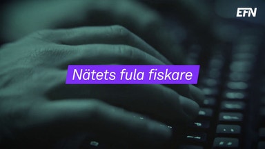 Så skyddar du dig mot nätfiske