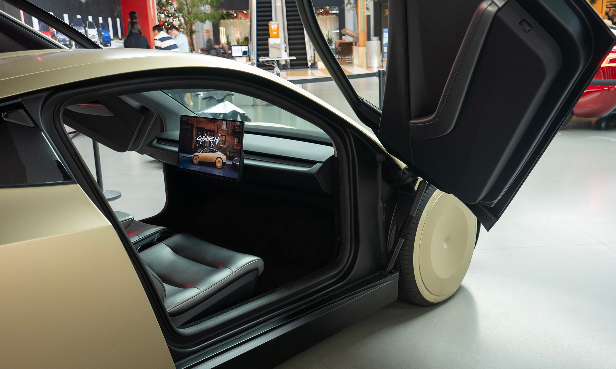 Larmet om Teslas satsning: ”Då slutar det i ett haveri”