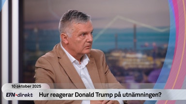 Försvarsexperten: En värdig vinnare av fredspriset