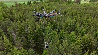 Flygande träd nästa steg i skogsbruket