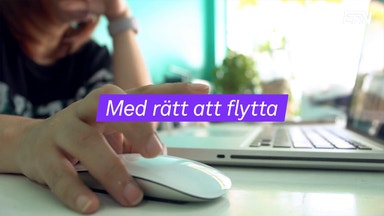 Flytträtten för försäkringar förstärks