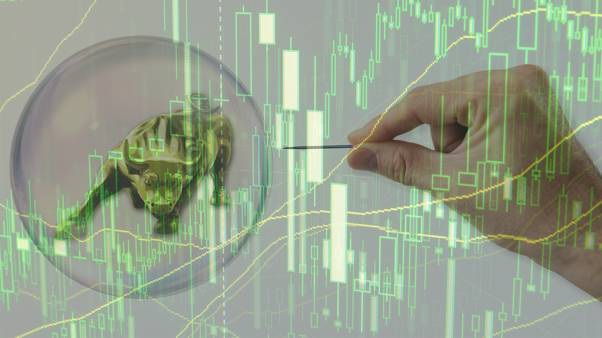 Experten: Tre tydliga tecken som talar för en ”allting-bubbla”