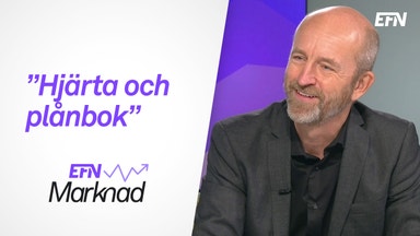 Hållbara investeringar perfekt för långsiktigt sparande