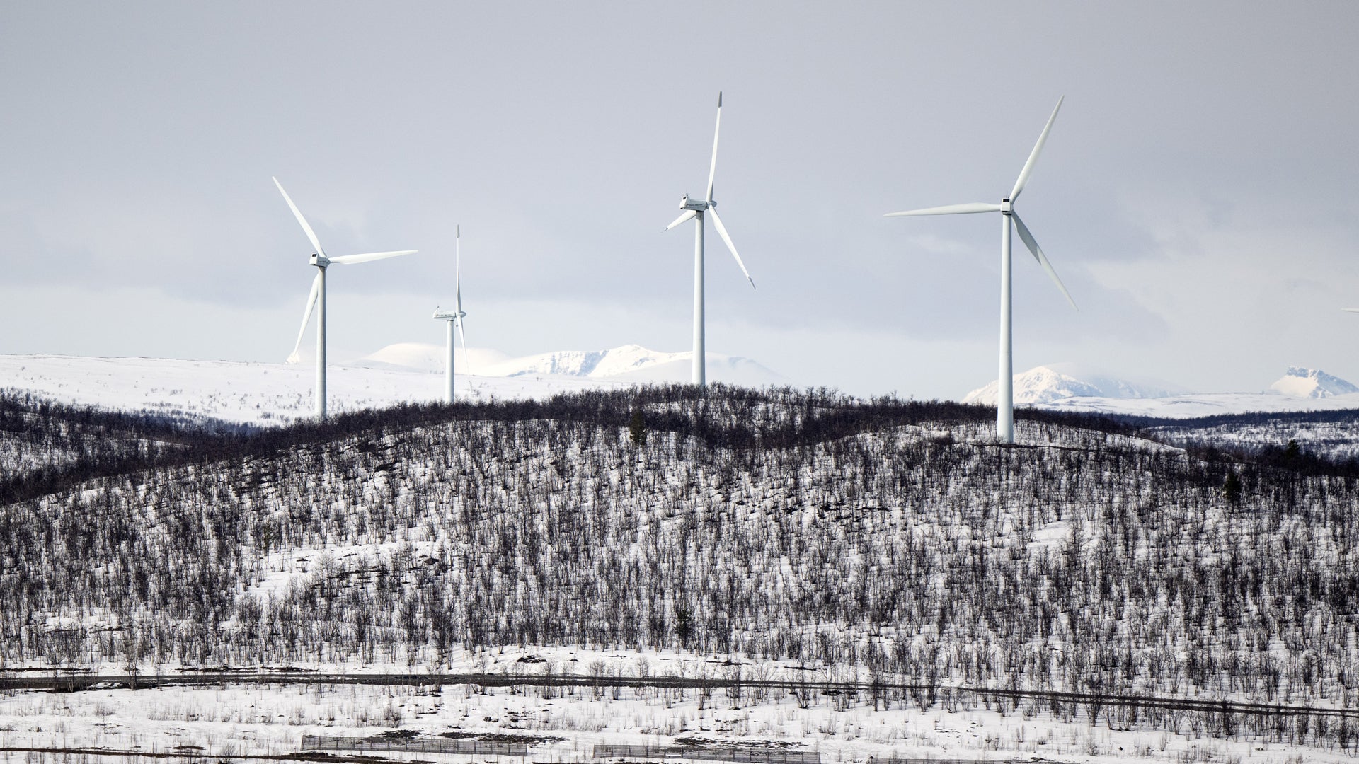 Elprischocken är här: ”Väldigt potent cocktail”