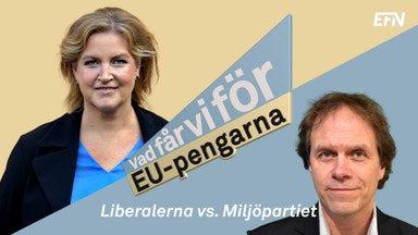 EU-duellen: Pär Holmgren, Miljöpartiet och Karin Karlsbro, Liberalerna