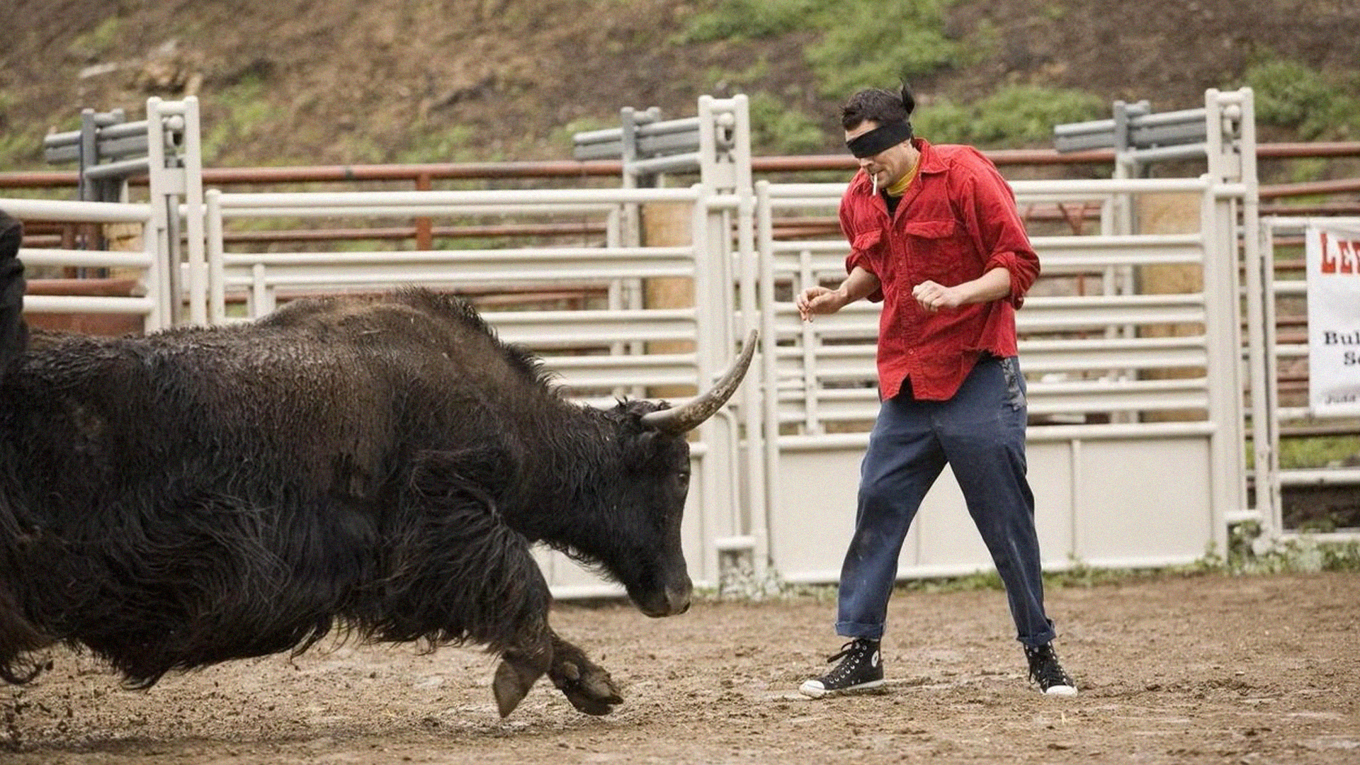 Mänsklig idioti – utan några gränser