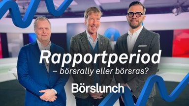 Fyra bolag att hålla koll på i rapportfloden